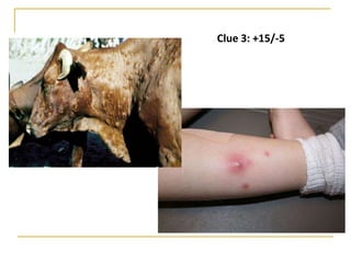 Clue 3: +15/-5
 