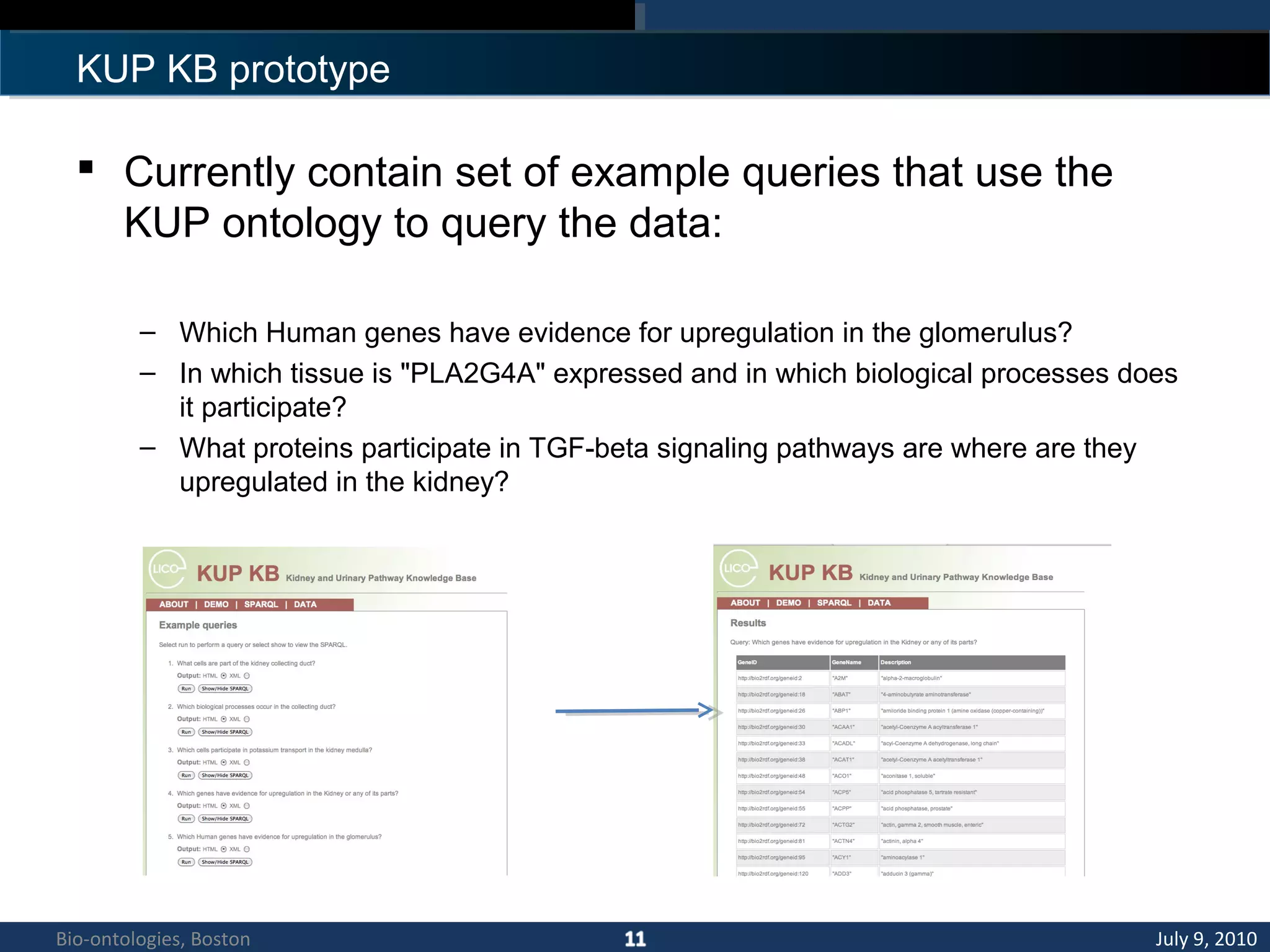 KUP KB prototype
 Currently contain set of example queries that use the
KUP ontology to query the data:
– Which Human genes have evidence for upregulation in the glomerulus?
– In which tissue is "PLA2G4A" expressed and in which biological processes does
it participate?
– What proteins participate in TGF-beta signaling pathways are where are they
upregulated in the kidney?
July 9, 2010Bio-ontologies, Boston
 