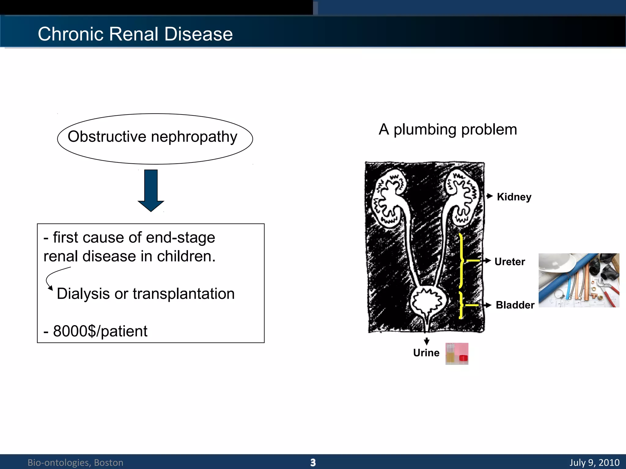Chronic Renal Disease
Obstructive nephropathy
- first cause of end-stage
renal disease in children.
Dialysis or transplantation
- 8000$/patient
A plumbing problem
Kidney
Ureter
Bladder
Urine
July 9, 2010Bio-ontologies, Boston
 