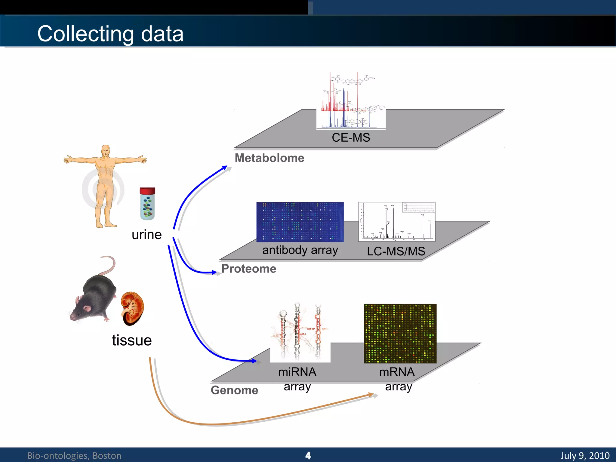 Collecting data
Proteome
Metabolome
Genome
urine
tissue
CE-MS
antibody array LC-MS/MS
m/z
600 800 1000 1200 1400 1600
10
20
30
40
50
60
70
80
90
100
Intensity
609.256
b6
755.422
y8
882.357
b9
852.476
y9
995.435
b10
1092.506
b11
1181.252
y12
1318.578
b13
1587.759
b16
1715.817
b18
858.408
b18 ++
794.380
b16 ++
0
miRNA
array
mRNA
array
July 9, 2010Bio-ontologies, Boston
 