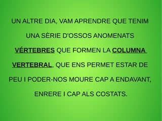 UN ALTRE DIA, VAM APRENDRE QUE TENIM 
UNA SÈRIE D'OSSOS ANOMENATS 
VÉRTEBRES QUE FORMEN LA COLUMNA 
VERTEBRAL, QUE ENS PERMET ESTAR DE 
PEU I PODER-NOS MOURE CAP A ENDAVANT, 
ENRERE I CAP ALS COSTATS. 
 