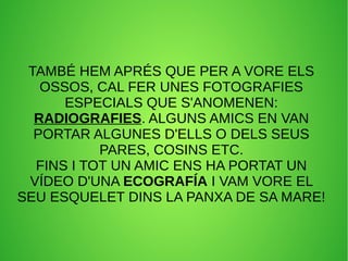 TAMBÉ HEM APRÉS QUE PER A VORE ELS 
OSSOS, CAL FER UNES FOTOGRAFIES 
ESPECIALS QUE S'ANOMENEN: 
RADIOGRAFIES. ALGUNS AMICS EN VAN 
PORTAR ALGUNES D'ELLS O DELS SEUS 
PARES, COSINS ETC. 
FINS I TOT UN AMIC ENS HA PORTAT UN 
VÍDEO D'UNA ECOGRAFÍA I VAM VORE EL 
SEU ESQUELET DINS LA PANXA DE SA MARE! 
 