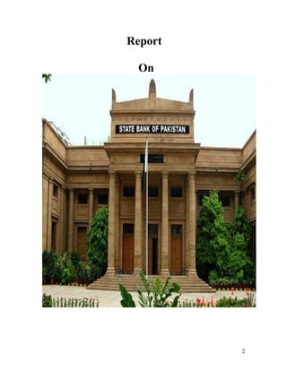 Pakistan Docs Report on state bank of Pakistan | DOC