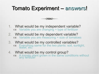 Tomato Experiment –  answers ! What would be my independent variable? Variable you are changing = type of fertilizer What would be my dependent variable? Variable you are measuring = size of tomatoes What would be my controlled variables? Everything same for the two plants: soil, sunlight, water, etc. What would be my control group? A tomato plant grown in the same conditions without any fertilizer 