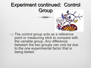 Experiment continued:  Control Group The control group acts as a reference point or measuring stick to compare with the variable group.  Any  difference between the two groups can  only  be due to the one experimental factor that is being tested.  