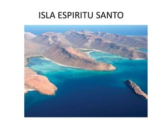 ISLA ESPIRITU SANTO