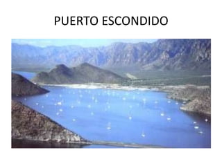 PUERTO ESCONDIDO