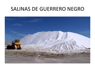SALINAS DE GUERRERO NEGRO