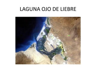 LAGUNA OJO DE LIEBRE
