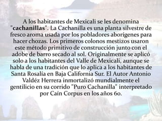 A los habitantes de Mexicali se les denomina
"cachanillas". La Cachanilla es una planta silvestre de
fresco aroma usada por los pobladores aborígenes para
  hacer chozas. Los primeros colonos mestizos usaron
   este método primitivo de construcción junto con el
 adobe de barro secado al sol. Originalmente se aplicó
  solo a los habitantes del Valle de Mexicali, aunque se
habla de una tradición que lo aplica a los habitantes de
 Santa Rosalía en Baja California Sur. El Autor Antonio
      Valdéz Herrera inmortalizó mundialmente el
gentilicio en su corrido "Puro Cachanilla" interpretado
              por Caín Corpus en los años 60.
 