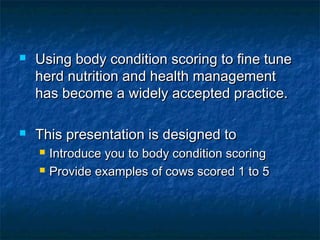    Using body condition scoring to fine tune
    herd nutrition and health management
    has become a widely accepted practice.

   This presentation is designed to
       Introduce you to body condition scoring
       Provide examples of cows scored 1 to 5
 