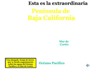 Una alargada  franja de tierra  que   se tiende augustamente  sobre las aguas del Océano  Pacífico y el Mar de Cortés Península de   Baja California Esta es la extraordinaria Océano Pacífico Mar de  Cortés 