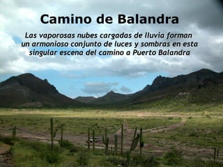 Camino de Balandra Las vaporosas nubes cargadas de lluvia forman  un armonioso conjunto de luces y sombras en esta singular escena del camino a Puerto Balandra 