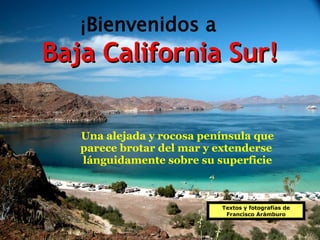 Baja California Sur! Textos y fotografías de Francisco Arámburo ¡Bienvenidos a Una alejada y rocosa península que parece brotar del mar y extenderse  lánguidamente sobre su superficie 
