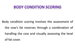 Body condition scoring involves the assessment of
the cow’s fat reserves through a combination of
handling the cow and visually assessing the level
of fat cover.
 