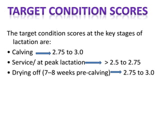 The target condition scores at the key stages of
lactation are:
• Calving 2.75 to 3.0
• Service/ at peak lactation > 2.5 to 2.75
• Drying off (7–8 weeks pre-calving) 2.75 to 3.0
 