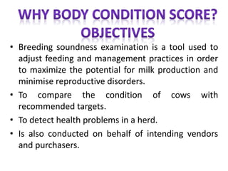 • Breeding soundness examination is a tool used to
adjust feeding and management practices in order
to maximize the potential for milk production and
minimise reproductive disorders.
• To compare the condition of cows with
recommended targets.
• To detect health problems in a herd.
• Is also conducted on behalf of intending vendors
and purchasers.
 