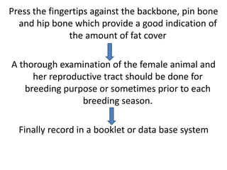 Press the fingertips against the backbone, pin bone
and hip bone which provide a good indication of
the amount of fat cover
A thorough examination of the female animal and
her reproductive tract should be done for
breeding purpose or sometimes prior to each
breeding season.
Finally record in a booklet or data base system
 