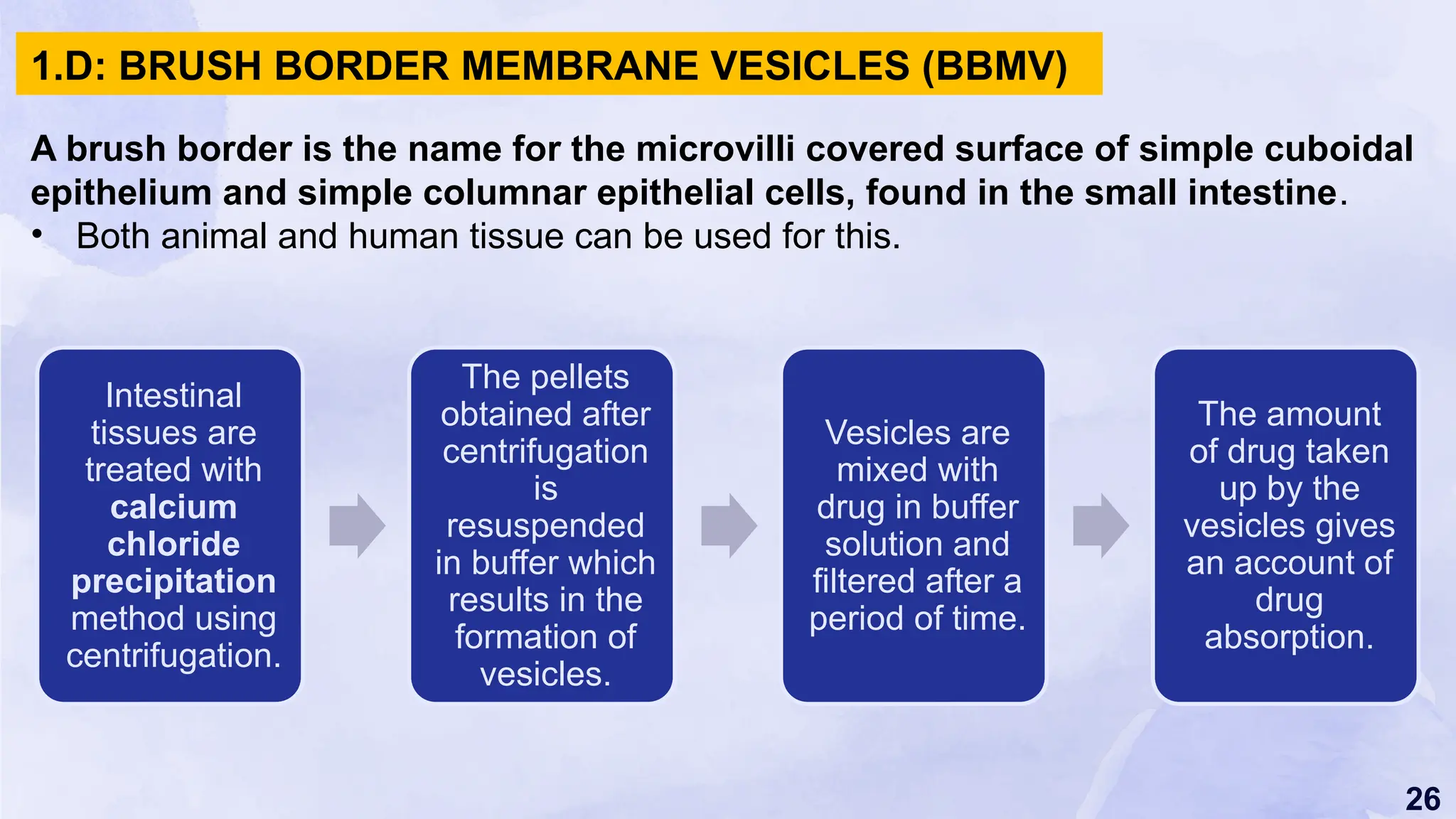 26
A brush border is the name for the microvilli covered surface of simple cuboidal
epithelium and simple columnar epithelial cells, found in the small intestine.
• Both animal and human tissue can be used for this.
1.D: BRUSH BORDER MEMBRANE VESICLES (BBMV)
Intestinal
tissues are
treated with
calcium
chloride
precipitation
method using
centrifugation.
The pellets
obtained after
centrifugation
is
resuspended
in buffer which
results in the
formation of
vesicles.
Vesicles are
mixed with
drug in buffer
solution and
filtered after a
period of time.
The amount
of drug taken
up by the
vesicles gives
an account of
drug
absorption.
 