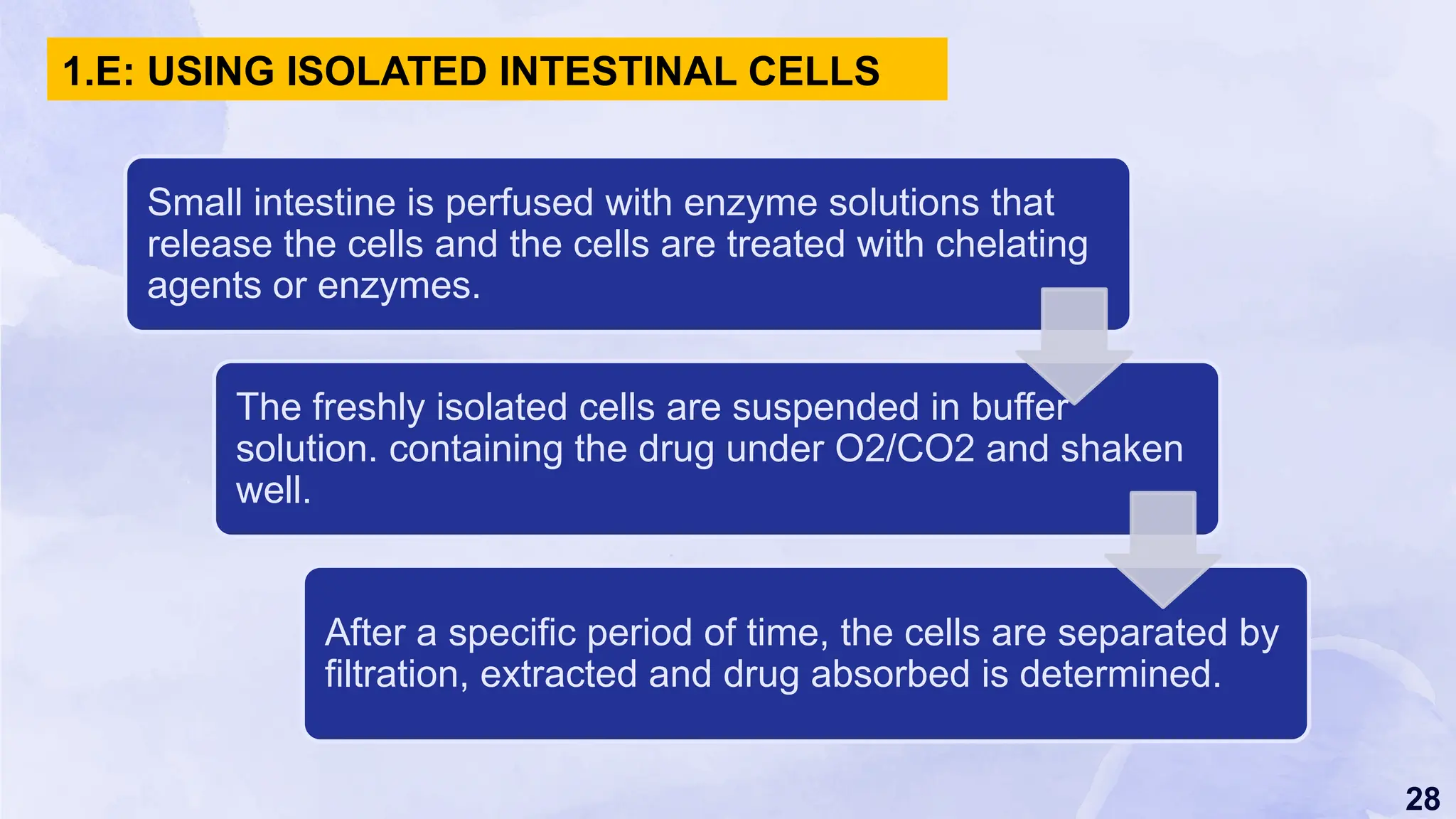 28
1.E: USING ISOLATED INTESTINAL CELLS
Small intestine is perfused with enzyme solutions that
release the cells and the cells are treated with chelating
agents or enzymes.
The freshly isolated cells are suspended in buffer
solution. containing the drug under O2/CO2 and shaken
well.
After a specific period of time, the cells are separated by
filtration, extracted and drug absorbed is determined.
 
