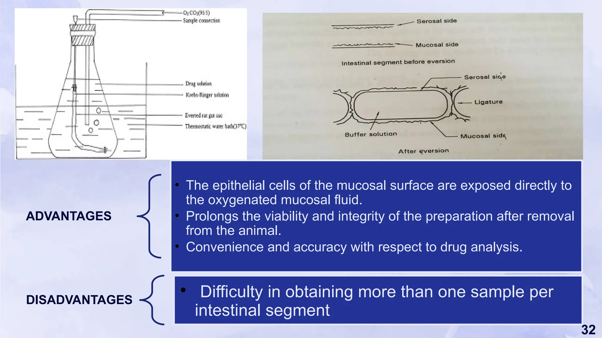 32
ADVANTAGES
• The epithelial cells of the mucosal surface are exposed directly to
the oxygenated mucosal fluid.
• Prolongs the viability and integrity of the preparation after removal
from the animal.
• Convenience and accuracy with respect to drug analysis.
DISADVANTAGES
• Difficulty in obtaining more than one sample per
intestinal segment
 