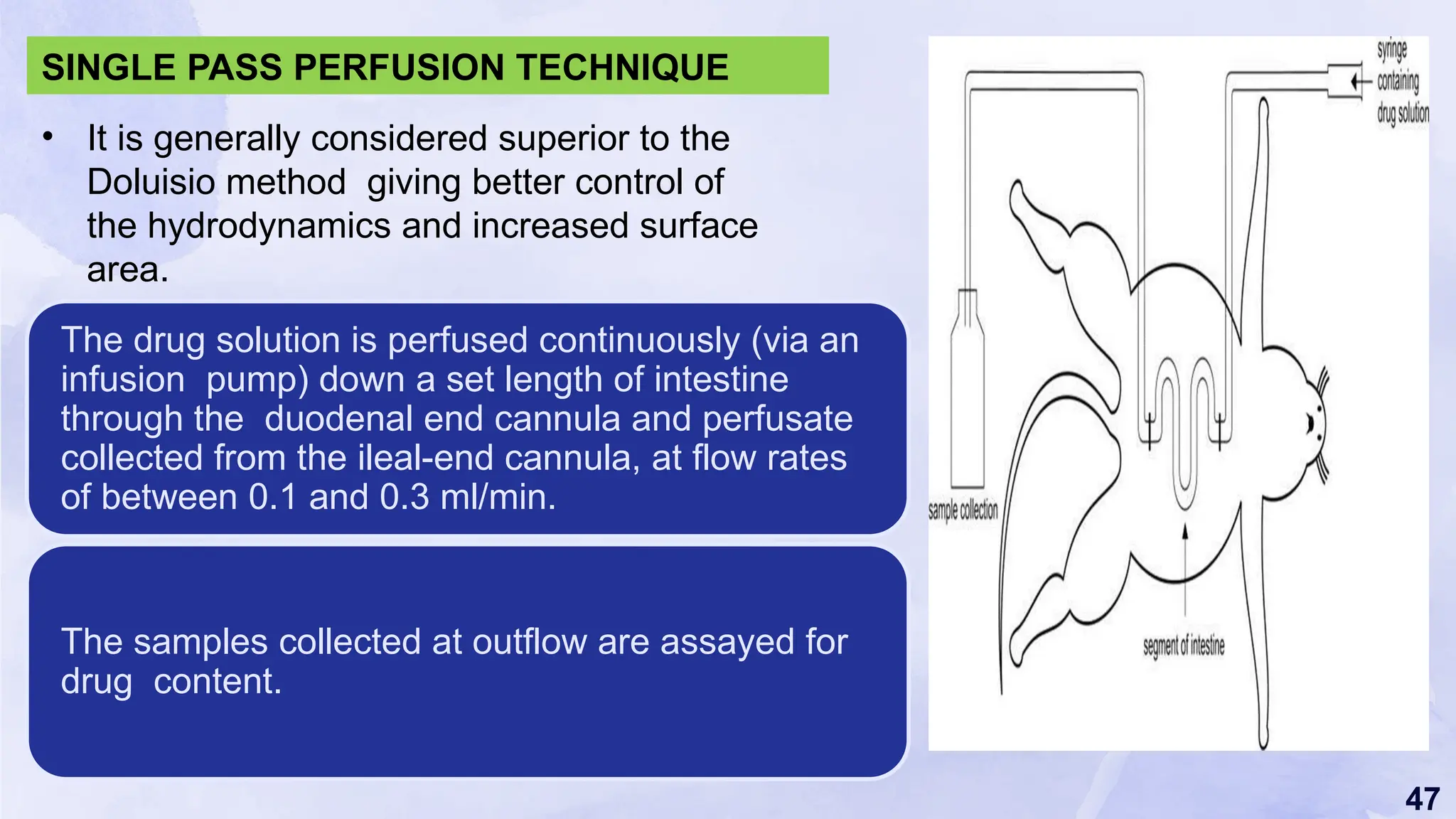 47
• It is generally considered superior to the
Doluisio method giving better control of
the hydrodynamics and increased surface
area.
SINGLE PASS PERFUSION TECHNIQUE
The drug solution is perfused continuously (via an
infusion pump) down a set length of intestine
through the duodenal end cannula and perfusate
collected from the ileal-end cannula, at flow rates
of between 0.1 and 0.3 ml/min.
The samples collected at outflow are assayed for
drug content.
 