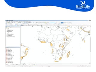 Ibp Map Mapping birds, biodiversity and business: the role of GIS in ...