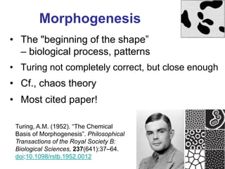 Alan Turing: Founder of Computer Science | PDF