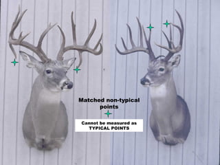 Matched non-typical points Cannot be measured as TYPICAL POINTS 