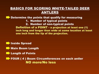 BASICS FOR SCORING WHITE-TAILED DEER ANTLERS Determine the points that qualify for measuring  1.  Number of typical points  2.  Number of non-typical points  Definition of a POINT -  a projection at least one (1)  inch long and longer than wide at some location at least  one inch from the tip of the projection. Inside Spread Main Beam Length  Length of Points FOUR ( 4 ) Beam Circumferences on each antler  NO more/No less 
