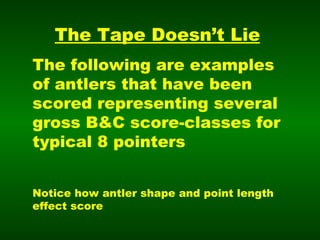 The Tape Doesn’t Lie The following are examples of antlers that have been scored representing several gross B&C score-classes for typical 8 pointers Notice how antler shape and point length effect score 