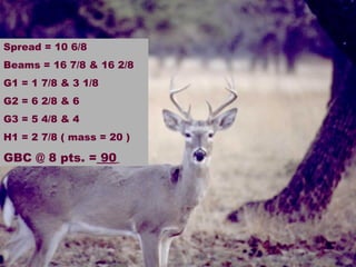 Spread = 10 6/8 Beams = 16 7/8 & 16 2/8 G1 = 1 7/8 & 3 1/8 G2 = 6 2/8 & 6 G3 = 5 4/8 & 4  H1 = 2 7/8 ( mass = 20 ) GBC @ 8 pts. =  90   