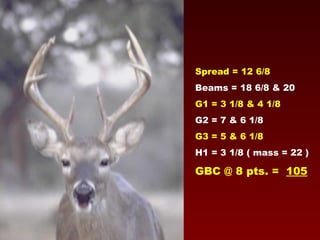 Spread = 12 6/8 Beams = 18 6/8 & 20 G1 = 3 1/8 & 4 1/8   G2 = 7 & 6 1/8 G3 = 5 & 6 1/8 H1 = 3 1/8 ( mass = 22 ) GBC @ 8 pts. =  105 