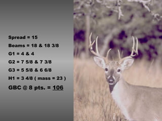 Spread = 15 Beams = 18 & 18 3/8 G1 = 4 & 4 G2 = 7 5/8 & 7 3/8 G3 = 5 5/8 & 6 6/8 H1 = 3 4/8 ( mass = 23 ) GBC @ 8 pts. =  106 