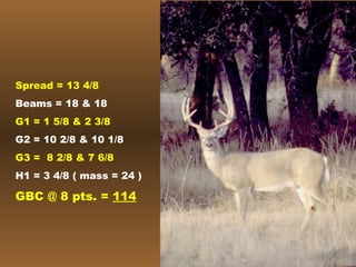 Spread = 13 4/8 Beams = 18 & 18 G1 = 1 5/8 & 2 3/8 G2 = 10 2/8 & 10 1/8 G3 =  8 2/8 & 7 6/8 H1 = 3 4/8 ( mass = 24 ) GBC @ 8 pts. =  114 