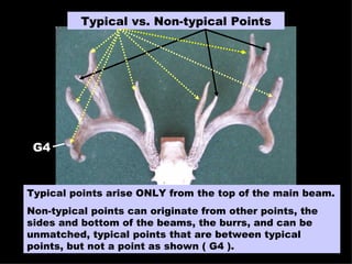 Typical vs. Non-typical Points Typical points arise ONLY from the top of the main beam. Non-typical points can originate from other points, the sides and bottom of the beams, the burrs, and can be unmatched, typical points that are between typical points, but not a point as shown ( G4 ). G4 