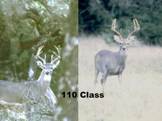 110 Class 