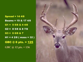 Spread = 14 4/8 Beams = 19 & 17 4/8 G1 =  5 5/8 & 4 4/8 G2 =  8 5/8 & 8 7/8 G3 =  6 6/8 & 7 H1 = 4 2/8 ( mass = 32 ) GBC @ 8 pts. =  125 GBC @ 12 pts. = 136 