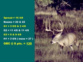 Spread = 15 4/8 Beams = 22 & 22 G1 = 3 6/8 & 3 4/8 G2 = 11 4/8 & 11 4/8 G3 = 9 & 8 4/8  H1 = 3 6/8 ( mass = 27 ) GBC @ 8 pts. =  135 