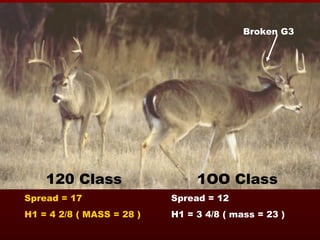 120 Class Spread = 17 H1 = 4 2/8 ( MASS = 28 ) 1OO Class Spread = 12 H1 = 3 4/8 ( mass = 23 ) Broken G3 