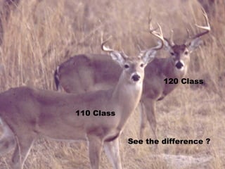 110 Class 120 Class See the difference ? 