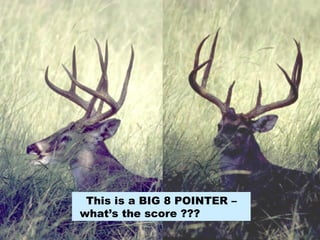This is a BIG 8 POINTER – what’s the score ???  