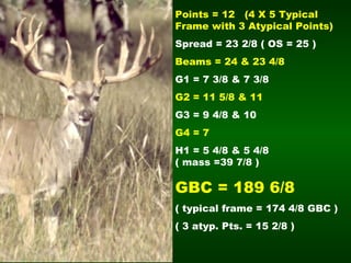 Points = 12  (4 X 5 Typical   Frame with 3 Atypical Points)   Spread = 23 2/8 ( OS = 25 ) Beams = 24 & 23 4/8 G1 = 7 3/8 & 7 3/8 G2 = 11 5/8 & 11 G3 = 9 4/8 & 10 G4 = 7  H1 = 5 4/8 & 5 4/8  ( mass =39 7/8 ) GBC = 189 6/8 ( typical frame = 174 4/8 GBC ) ( 3 atyp. Pts. = 15 2/8 ) 