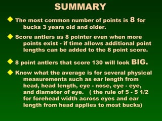 SUMMARY The most common number of points is  8  for  bucks 3 years old and older. Score antlers as 8 pointer even when more  points exist - if time allows additional point  lengths can be added to the 8 point score. 8 point antlers that score 130 will look  BIG. Know what the average is for several physical  measurements such as ear length from  head, head length, eye - nose, eye - eye,  and diameter of eye.  ( the rule of 5 - 5 1/2  for forehead width across eyes and ear  length from head applies to most bucks) 
