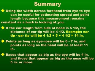 Summary Using the width across forehead from eye to eye  can be useful for estimating spread and point  length because this measurement remains  constant as a buck is looking at you.  If the ear length from side of head is 5 1/2, the  distance of ear tip will be 4 1/2.  Example: ear  tip - ear tip will be 4 1/2 + 5 + 4 1/2 = 14 in. Points as long as eye-nose will be 6 - 7 in. and  points as long as the head will be at least 11  in. Bases that appear as big as the eye will be 4 in.  and those that appear as big as the nose will be  5 in. or more. 