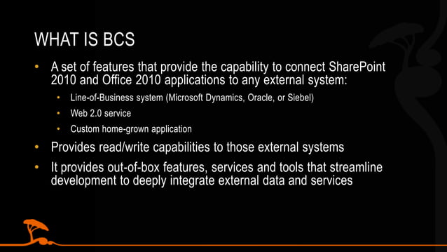 Building Custom BCS .NET Connectors | PPTX