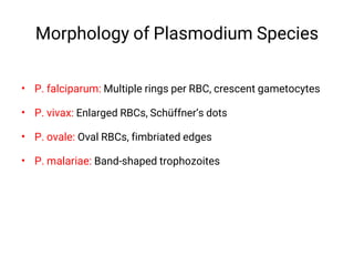Blood film for malaria by thin and thick films | PDF