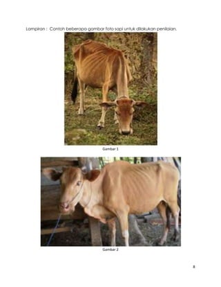 Sapi Pdf bcs sapi.pdf