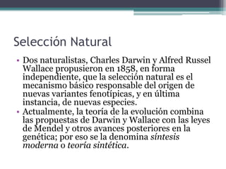 Selección Natural (cont.)Mecanismo evolutivo que se define como la reproducción diferencial de los genotipos en el seno de una población biológica.Las condiciones de un medio ambiente favorecen o dificultan, es decir, seleccionan la reproducción de los organismos vivos según sean sus peculiaridades.Propuesta por Darwin como medio para explicar la evolución biológica. 