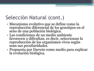 Premisas de las que parte la  teoría de la Selección Natural1ra: Se afirma que entre los descendientes de un organismo hay una variación ciega (no aleatoria), no determinista, que es, en parte , heredable.2da: Esta variabilidad puede dar lugar a diferencias de supervivencia y de éxito reproductor, haciendo que algunas características de nueva aparición se puedan extender en la población.   La acumulación de estos cambios a lo largo de las generaciones produciría todos los fenómenos evolutivos.    